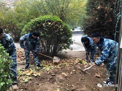 种一颗小树，绿一方净土