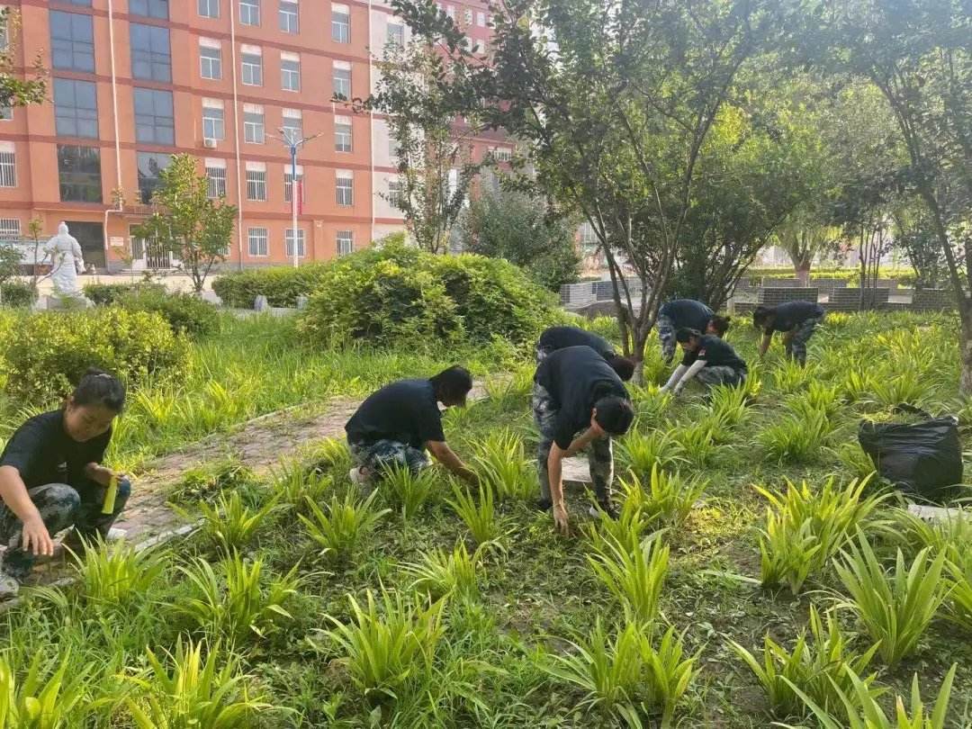 在劳动中把小家融入大家 ——用汗水滋养校园土地